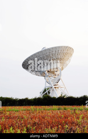 Antenne Radiotélescope MRAO Banque D'Images