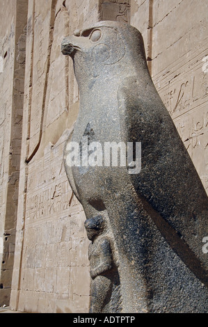 Un pèlerin de la statue en granite de Horus à la salle hypostyle dans temple d'Edfou dédié au dieu faucon Horus, construite pendant la période ptolémaïque -57 237 avant notre ère, l'Égypte Banque D'Images