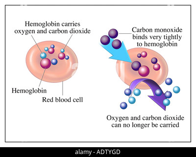 Le Monoxyde De Carbone Et Dioxyde De Carbone Co Mod Les Mol Cule Et De Formules Chimiques Le