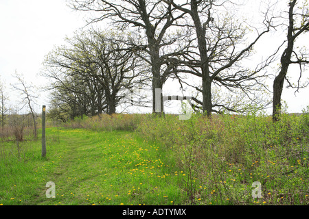 Sentier de l'âge de glace au printemps Kettle Moraine State forest unité sud Wisconsin Banque D'Images
