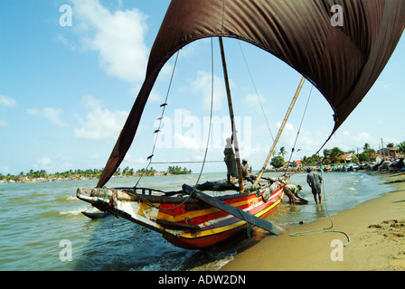 Les bateaux de pêche traditionnels Oruwa à Negombo Sri Lanka Banque D'Images