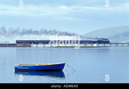 L'Outeniqua Choo Tjoe Train, Route des Jardins, Knysna, Western Cape, Afrique du Sud Banque D'Images