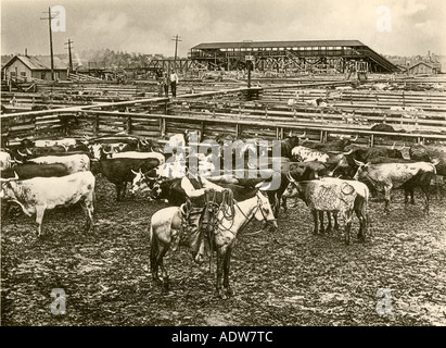 L'élevage du bétail dans la Cowboy railroad stockyards à Kansas City Missouri 1890. Albertype reproduction d'une photographie Banque D'Images