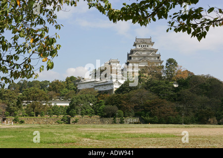 Himeji Jo château encadré par une branche d'arbre Himeji city Honshu Kansai Japon Asie Banque D'Images