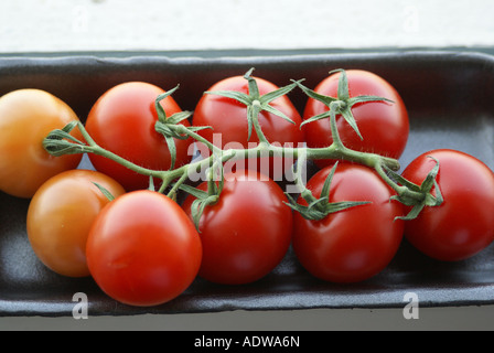 DSC02512 Tomates,SONY DSC Banque D'Images