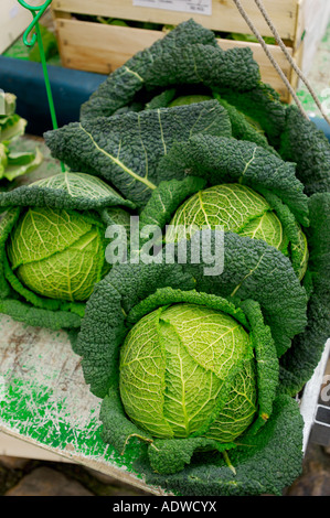 Chou de marché France Banque D'Images