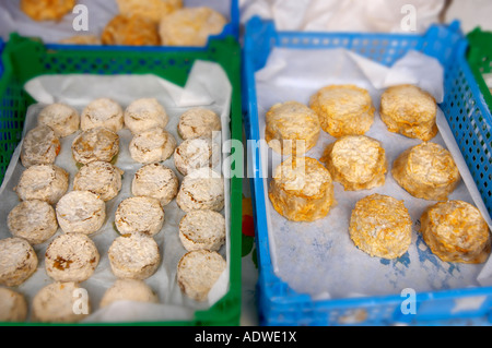 Les agriculteurs frais fromage de chèvre biologique sur un étal de fromages Honfleur Normandie France Banque D'Images