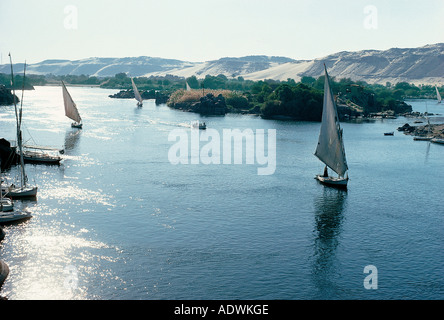 Felouques ou bateaux à voile sur le Nil près d'Assouan Egypte Afrique du Nord Banque D'Images
