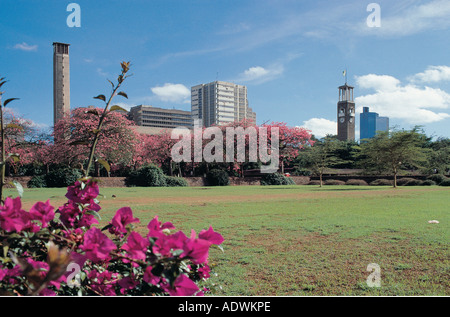 Bougainvilliers et une pelouse verte près de l'Église catholique Holy Trinity Cathedral et l'Hôtel de ville dans le centre de Nairobi Kenya Banque D'Images