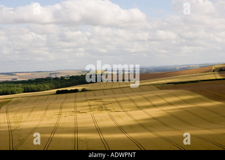 Crop Circle, dans la vallée de Pewsey Wiltshire England Royaume-Uni Banque D'Images