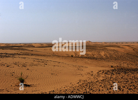 Dunes de sable dans le Sahara Maroc Afrique du Nord Banque D'Images