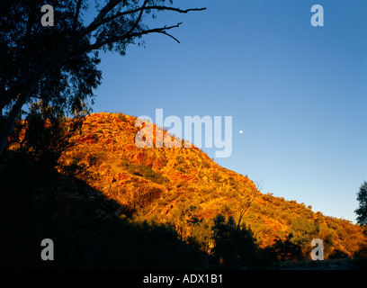 Moon Over hill robuste avec gommiers West MacDonnell Ranges Australie Territoire du Nord Banque D'Images