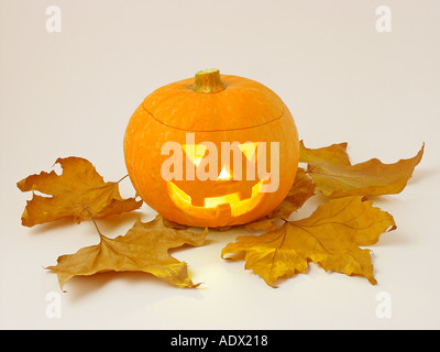 Citrouille Halloween Banque D'Images