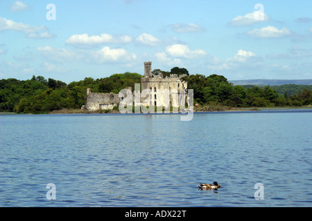 Castle Island Irlande Lough Key Forest Park Banque D'Images