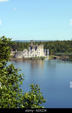 Castle Island Irlande Lough Key Forest Park Banque D'Images