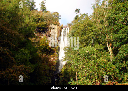 Pistyll Rhaeadr cascade dans les montagnes Berwyn Denbighshire Wales GB Grande Bretagne UK Royaume-Uni British Isles Banque D'Images