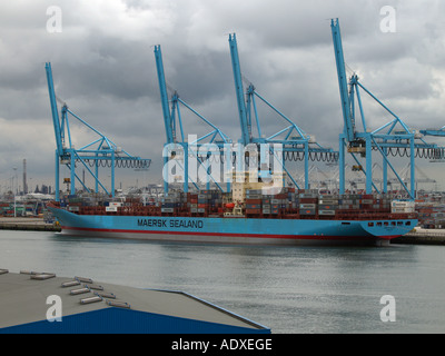 Très grand porte-conteneurs Maersk le Gjertrud amarré au port de Rotterdam aux Pays-Bas Banque D'Images