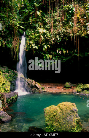 Chute d'eau à Emerald Poo, cascade, Emerald Pooll, Parc national du Morne Trois Pitons, Dominique, Caraïbes, Antilles Banque D'Images