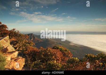 Du sommet du mont William dans les Grampians Banque D'Images