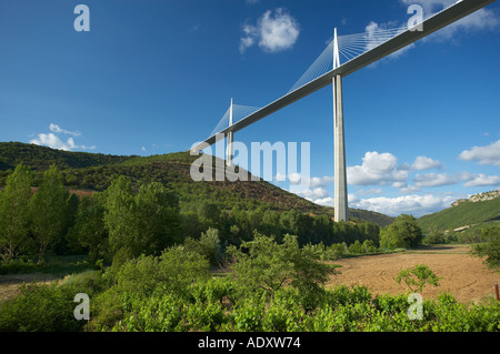 Viaduc de Millau enjambant les gorges du Tarn en Aveyron Midi Pyrénées France Banque D'Images