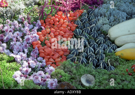 Composition de fleurs et légumes dans Kurlinupe campagne de Lettonie Banque D'Images