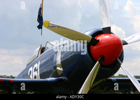 Hawker Sea Fury FB11 Banque D'Images