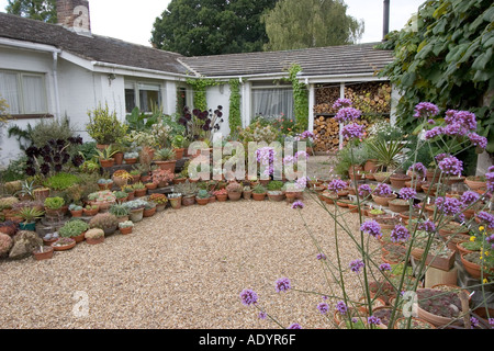 Coin de la Beth Chatto Gardens Elmstead Market près de Colchester Essex GB UK Banque D'Images