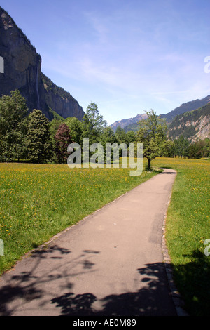 Champ de fleurs alpines Suisse Lauterbrunnen Banque D'Images