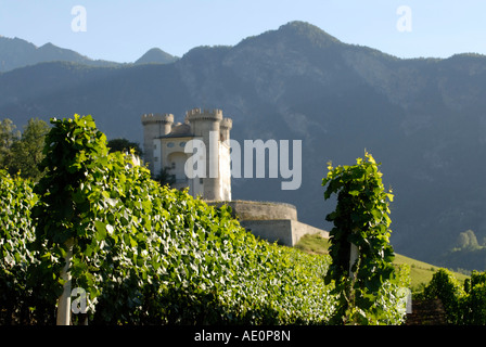 Valle d'Aoste Aymavilles château (château) avec vin vignes, Alpes Italiennes Banque D'Images