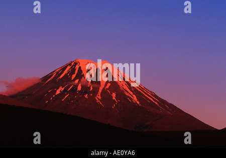 Le mont Ngauruhoe, tôt le matin, la lumière, la NOUVELLE ZELANDE, Tongariro NP Banque D'Images