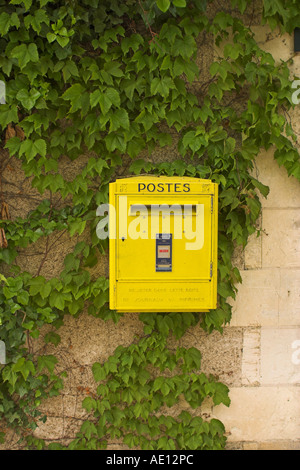 Une boîte aux lettres française jaune sur un mur de lierre Banque D'Images