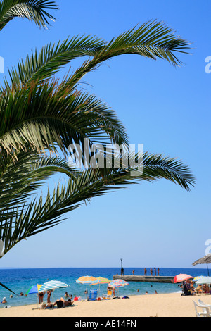 À la plage de Nikiti à l'entrée de la péninsule de Sithonia, sur la péninsule de Chalcidice en Grèce Banque D'Images