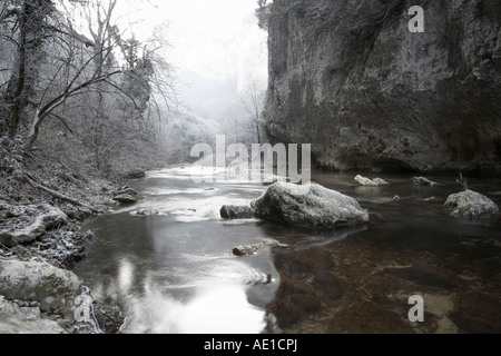 Dans le fleuve Sentino vallée de Frasassi en hiver avec des arbres et la brume glacée Italie Banque D'Images