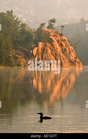 Dawn Killarney falaises reflété dans le lac George avec Loon, Killarney Provincial Park, Ontario, Canada Banque D'Images