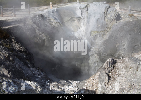 ROTORUA NOUVELLE ZÉLANDE DU NORD DE L'île de mai l'un des évents des rochers incrustés de silicate Te Puia Whakarewarewa geothermal valley Banque D'Images