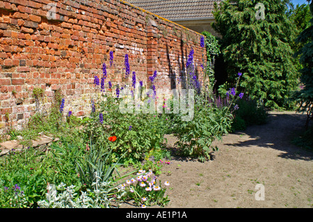 Vieux mur de briques avec des fleurs Banque D'Images