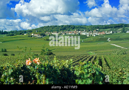 Vignobles et Hautvillers village de la distance, Champagne, France Banque D'Images