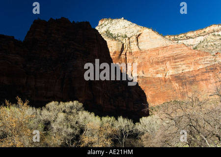 Zion National Park Utah USA Banque D'Images