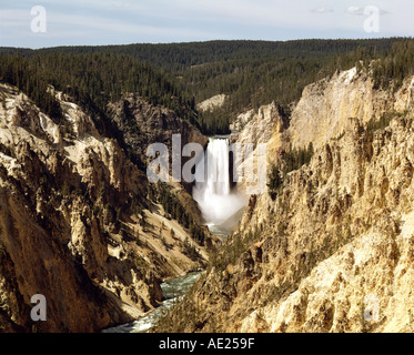 Yellowstone Falls dans le Parc National de Yellowstone au Wyoming USA Banque D'Images