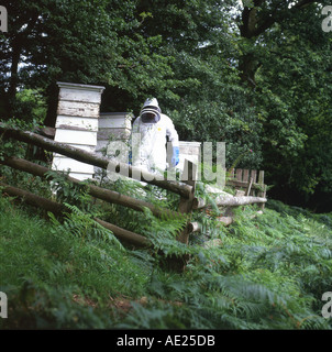 Un apiculteur paître ses ruches dans les régions rurales du pays de Galles portant des tenues de protection et le casque blanc Carmarthenshire, UK KATHY DEWITT Banque D'Images