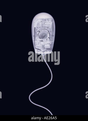 X RAY XRAY X-RAY IMAGE PHOTOGRAPHIQUE DE SOURIS D'ORDINATEUR NAGER COMME LE SPERME Banque D'Images