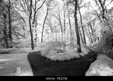 Photo infrarouge de chemins dans un parc Banque D'Images