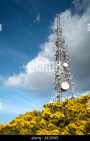 Un mât de télécommunications passant de buissons d'ajoncs jaune vif dans le ciel Banque D'Images