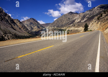 L'Autoroute 120 a également appelé le Tioga Pass Road dans la forêt nationale d'Inyo, Sierra Nevada, Californie, USA Banque D'Images