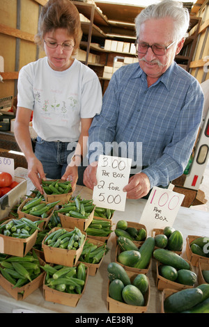 Ann Arbor Michigan,Kerrytown historique Market District,Farmers Market,couple,adulte,adultes,okra,concombres,MI070721018 Banque D'Images