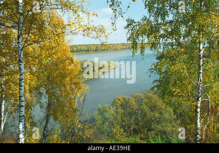 Forêt de bouleau d'automne au-dessus de la rivière de l'Adama. Altaï. La Sibérie. La Russie Banque D'Images