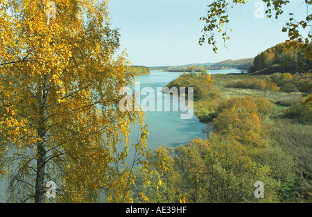 Forêt de bouleau d'automne au-dessus de la rivière de l'Adama. Altaï. La Sibérie. La Russie Banque D'Images