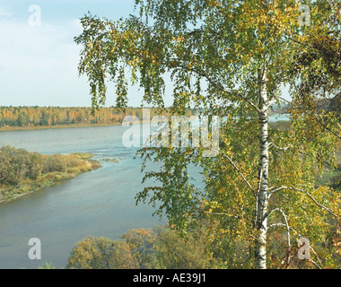 Forêt de bouleau d'automne au-dessus de la rivière de l'Adama. Altaï. La Sibérie. La Russie Banque D'Images