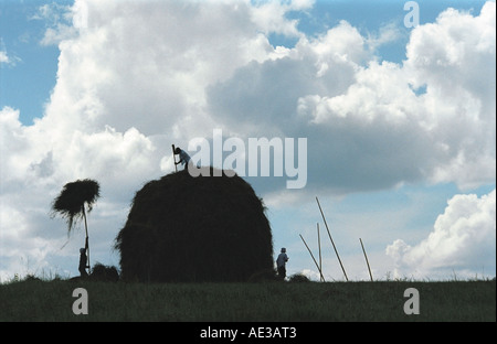 Les agriculteurs passent jusqu'haycocks sur le sommet d'une meule. Altaï. La Sibérie. La Russie Banque D'Images