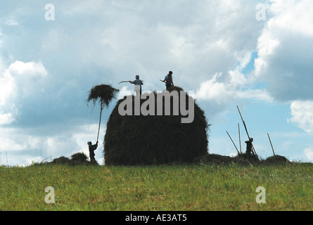 Les agriculteurs passent jusqu'haycocks sur le sommet d'une meule. Altaï. La Sibérie. La Russie Banque D'Images